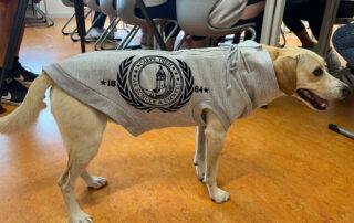 Hund in grauem Schul-Shirt im Klassenzimmer – Dreh „Wirkstatt Nachhaltigkeit Campus-N“