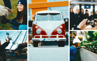 Collage vom Recruitingfilm-Dreh für die Werksviertel Versicherungsmakler: Schafe, VW-Bus, Gruppe und Kamera
