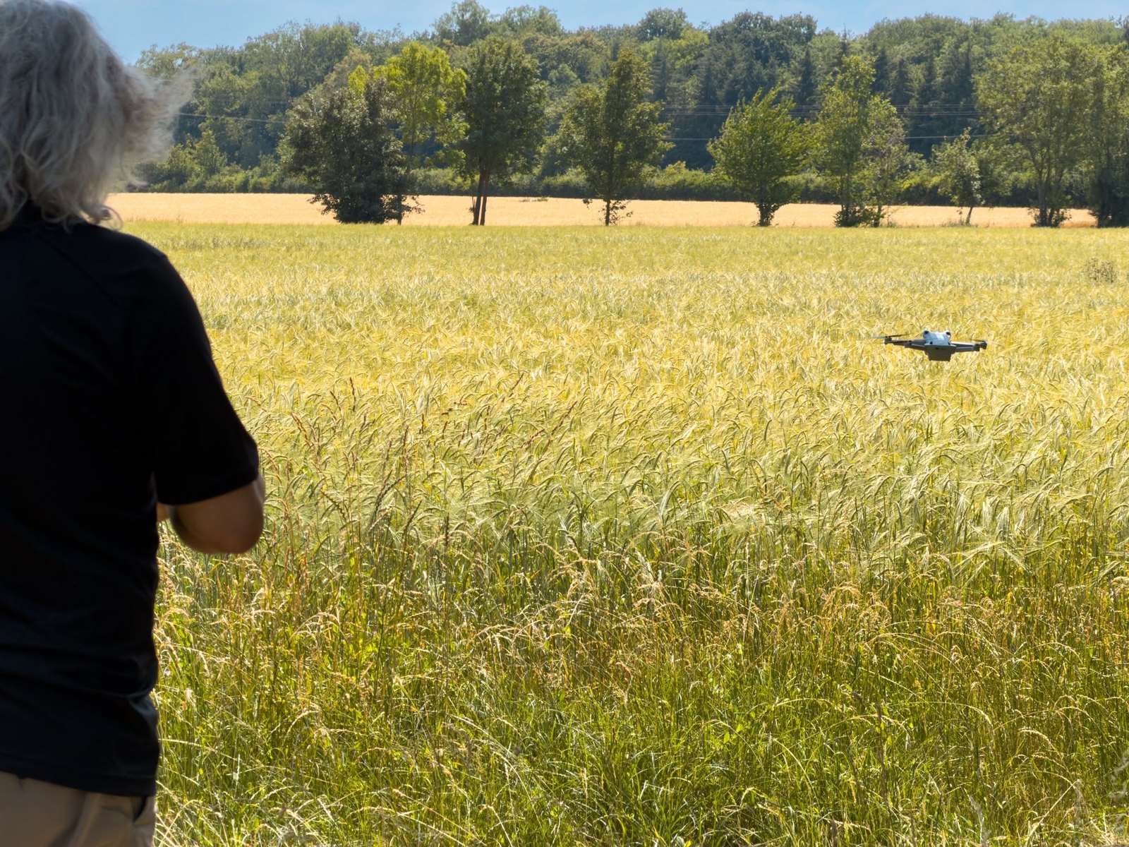 Die Drohne über dem Gerstenfeld in Kaltensondheim