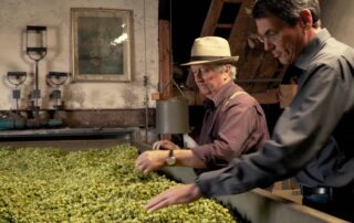 Film "Hopfenernte in der Hallertau"