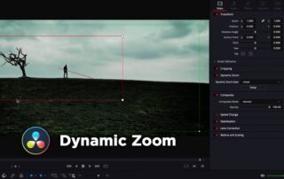 Tutorial „Dynamic Zoom“ | DaVinci Resolve