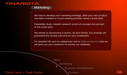Website für Tinarista Communications